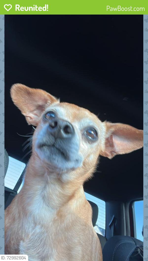 Reunited Unknown Dog last seen Basswood & Heather Ridge, Saginaw, TX 76131