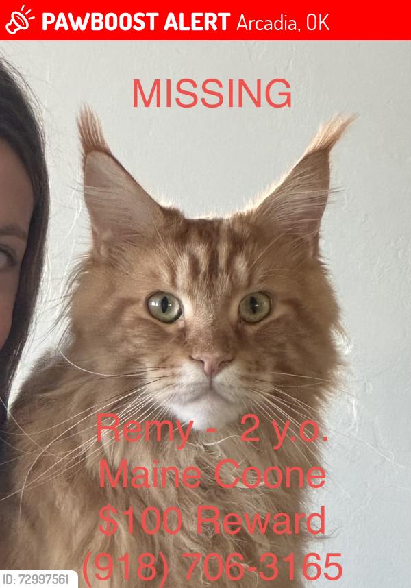 Lost Male Cat last seen Post Road & Farmhouse Ln (North of 2nd St), Arcadia, OK 73007