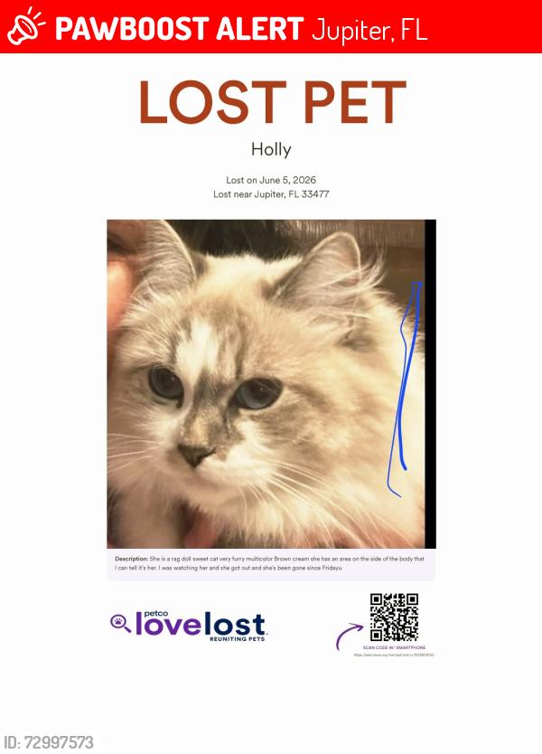 Lost Female Cat last seen Us1 and Bluffs Blvd , Jupiter, FL 33477