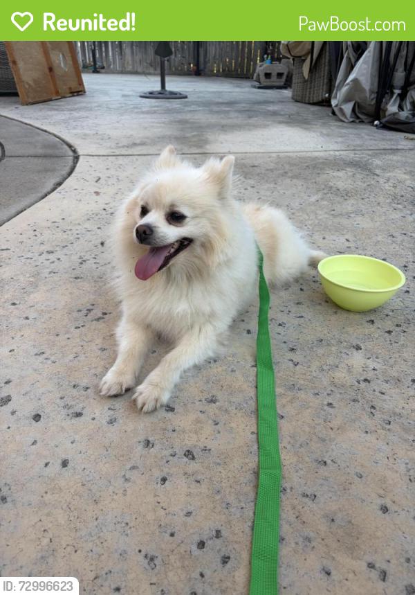 Reunited Unknown Dog last seen Diamond Oaks Park, Roseville, CA 95678