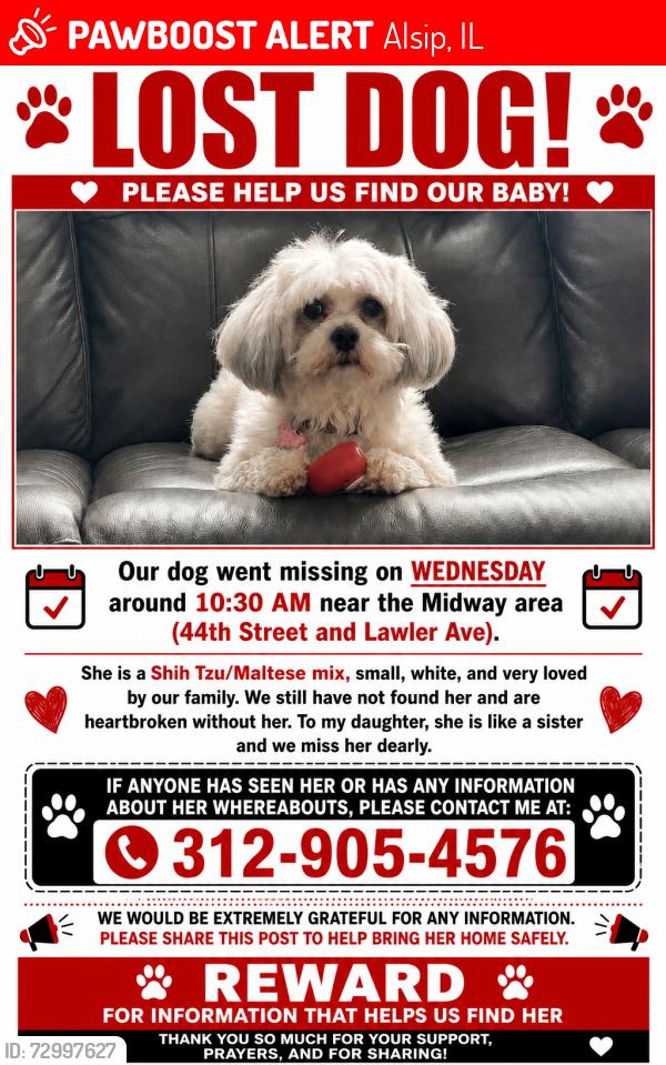 Lost Female Dog last seen Near and Lawler Ave Chicago IL 60638, Chicago, IL 60638