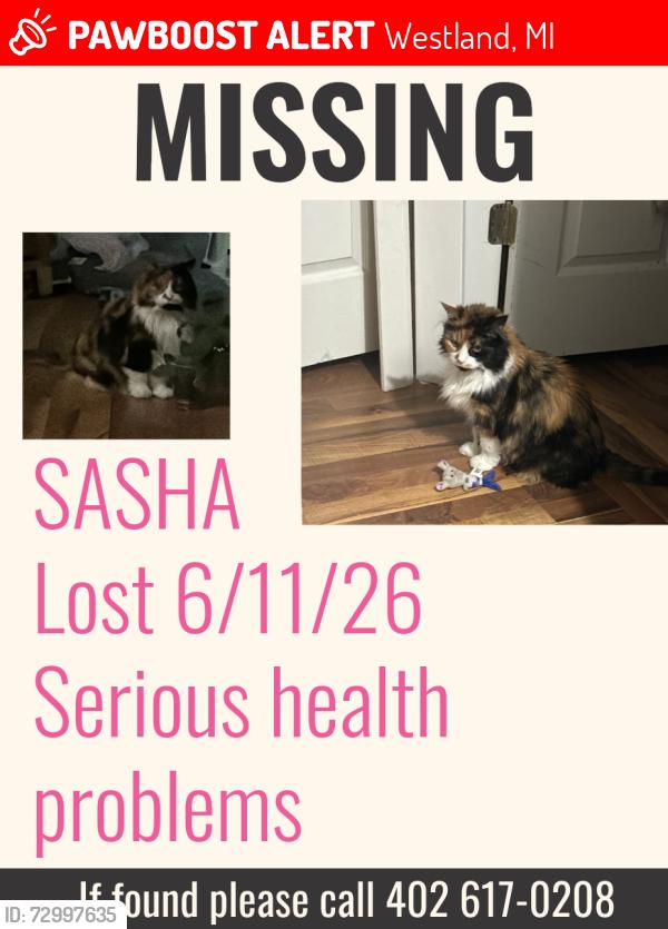 Lost Female Cat last seen Venoy and merriman on Birchwood st next to Mayfield golf course , Westland, MI 48186