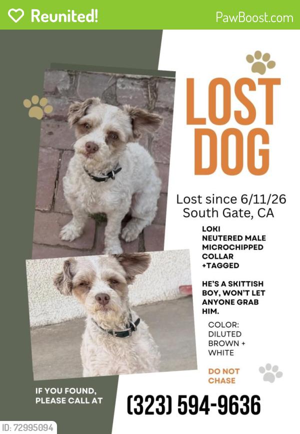 Reunited Male Dog last seen Long Beach blvd, South Gate, CA 90280