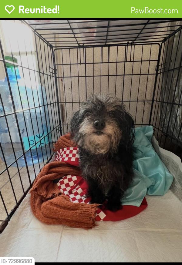 Reunited Male Dog last seen Mini dr, Vallejo, CA 94589