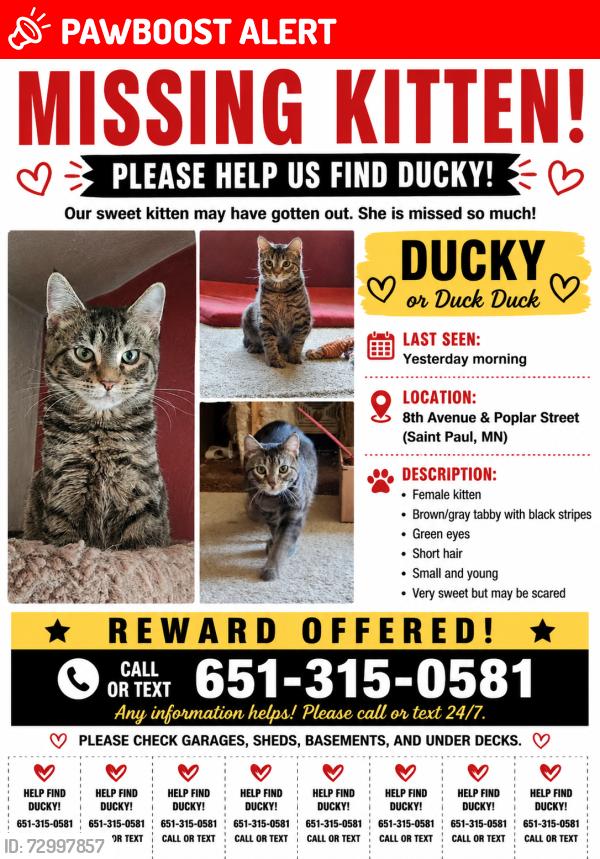 Lost Female Cat last seen 8th Ave S and Popular St in SSP, South Saint Paul, MN 55075
