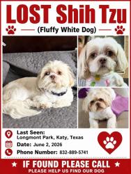 Lost Female Dog last seen I 10, Fulshear, TX 77423