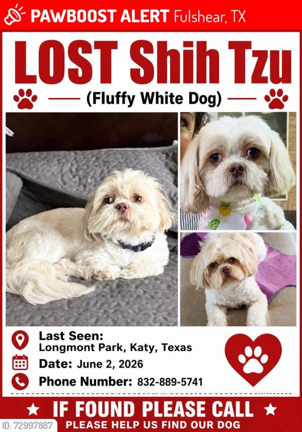 Lost Female Dog last seen I 10, Fulshear, TX 77423