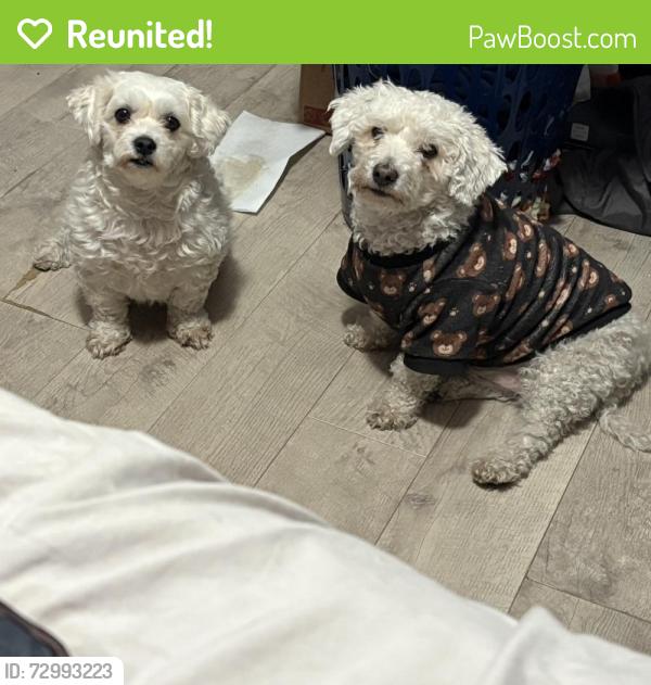 Reunited Male Dog last seen Near Ida St, Arlington, TX 76010, USA, Arlington, TX 76010