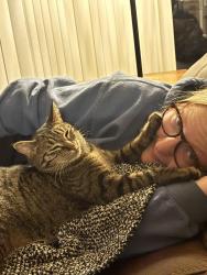Lost Male Cat last seen Near av and 13 st n moorhead, Moorhead, MN 56560