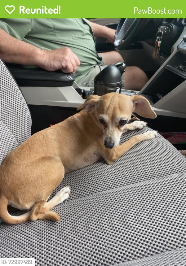 Reunited Female Dog last seen Nw May and Drakestone, Oklahoma City, OK 73120