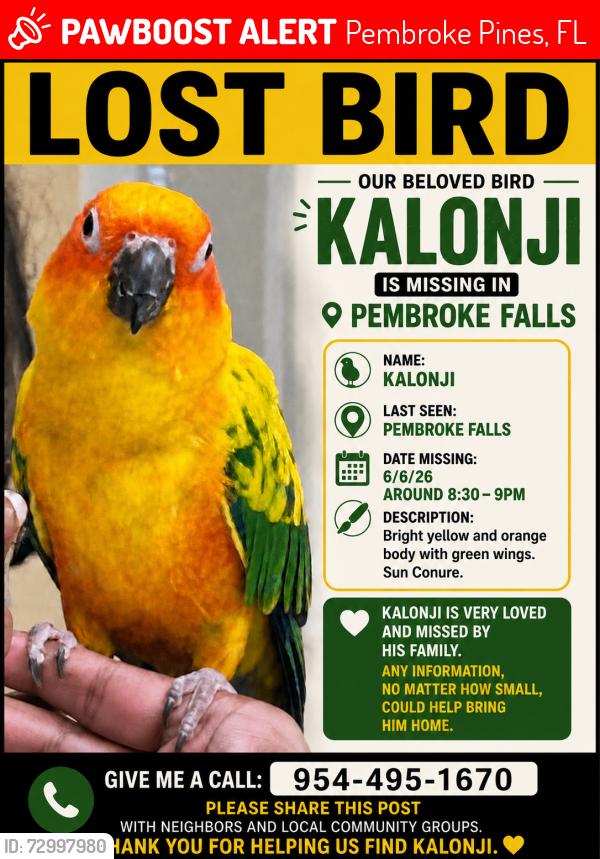 Lost Male Bird last seen Sheridan Street and 125th Avenue , Pembroke Pines, FL 33026