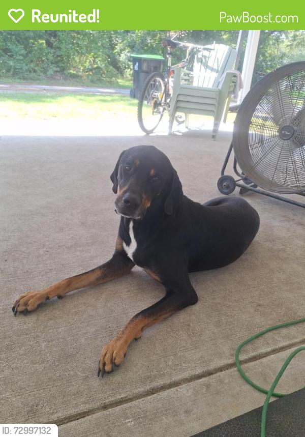 Reunited Male Dog last seen Richlands speedway , Richlands, NC 28574
