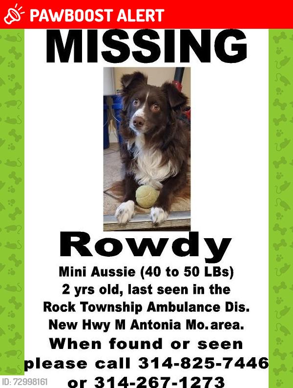 Lost Male Dog last seen Valley view Dr & Old Hwy M, Imperial Township, MO 63012