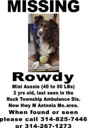 Lost Male Dog last seen Valley view Dr & Old Hwy M, Imperial Township, MO 63012