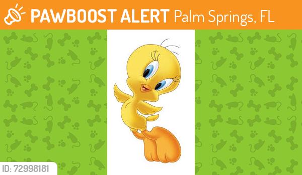 Found/Stray Unknown Bird last seen Meadow and Prairie, Palm Springs, FL 33406