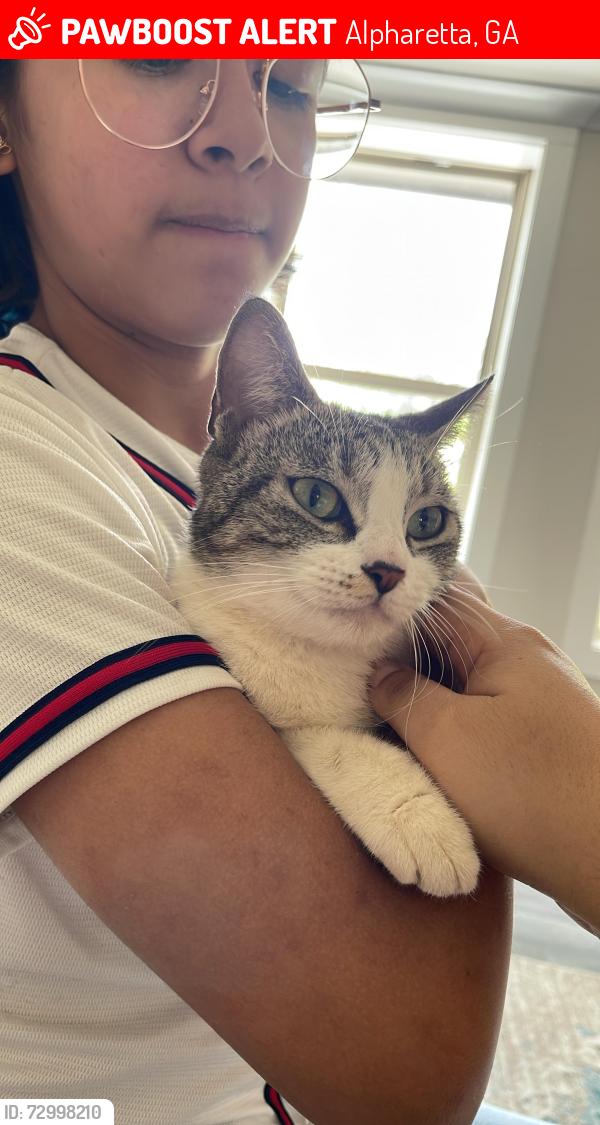 Lost Female Cat last seen Kroger, Alpharetta, GA 30004