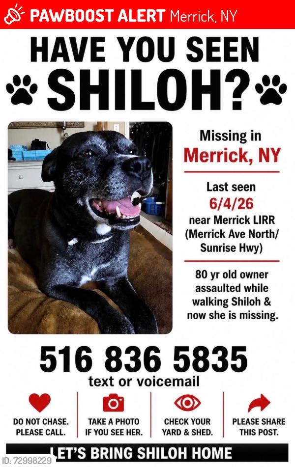 Lost Female Dog last seen Merrick Ave and Sunrise Hwy, Merrick, NY 11566
