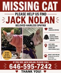 Reunited Male Cat last seen Livingston and ravina way , North Naples, FL 34110