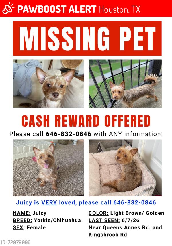 Lost Female Dog last seen Near Kingsbrook Rd and Queen Annes Rd., Houston, TX 77024