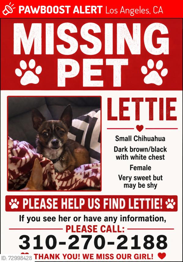 Lost Female Dog last seen burbank and topanda/ burbank and shoup, Los Angeles, CA 91367