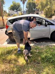 Reunited Female Dog last seen Lowell Ave and Keats, Los Angeles, CA 90032