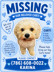 Reunited Male Dog last seen Near W 5th way, Hialeah, FL 33010