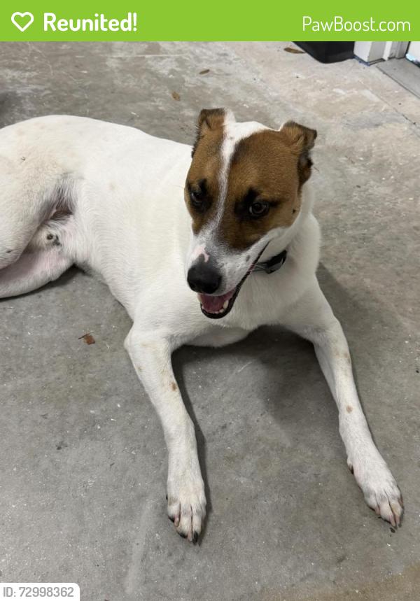 Reunited Male Dog last seen Near Gun Club Rd, West Palm Beach, FL 33406, USA, West Palm Beach, FL 33406
