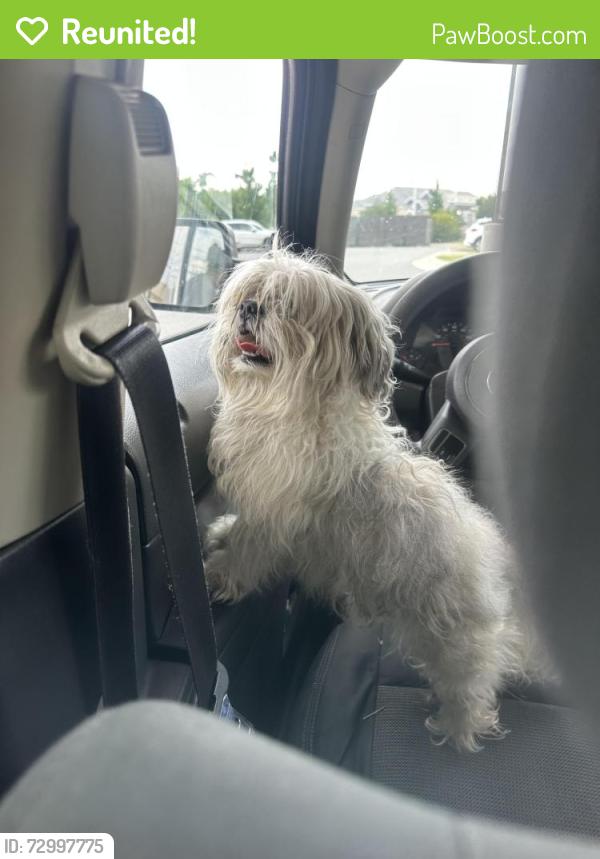 Reunited Male Dog last seen Decatur DR & Decatur PL near Dominos, Fayetteville, NC 28303