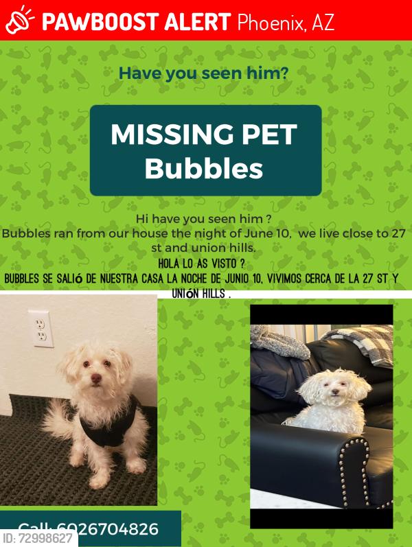 Lost Male Dog last seen 27st and union hills , Phoenix, AZ 85032