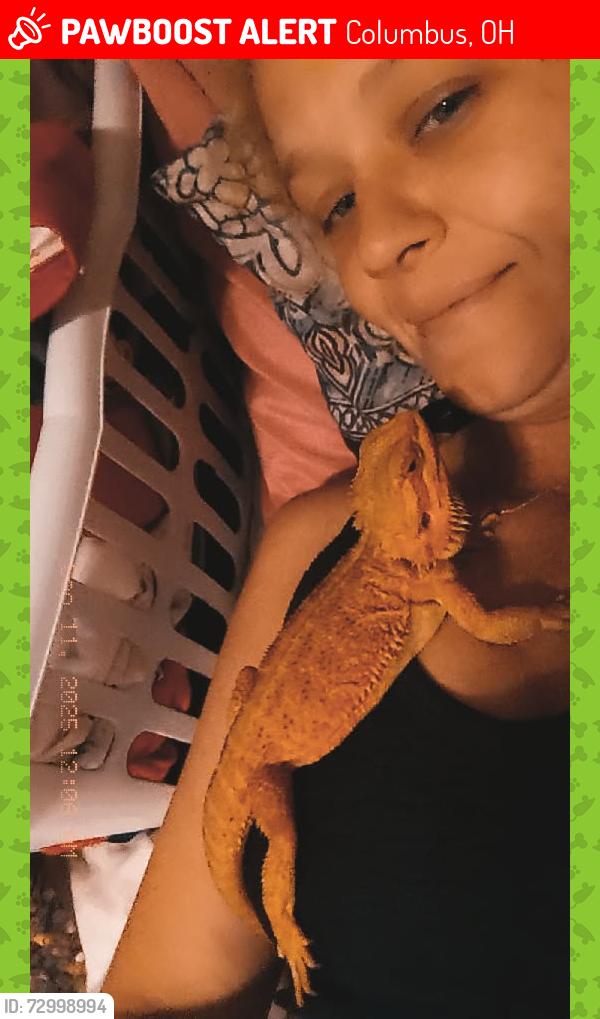 Lost Male Reptile last seen Sullivant ave , Columbus, OH 43223