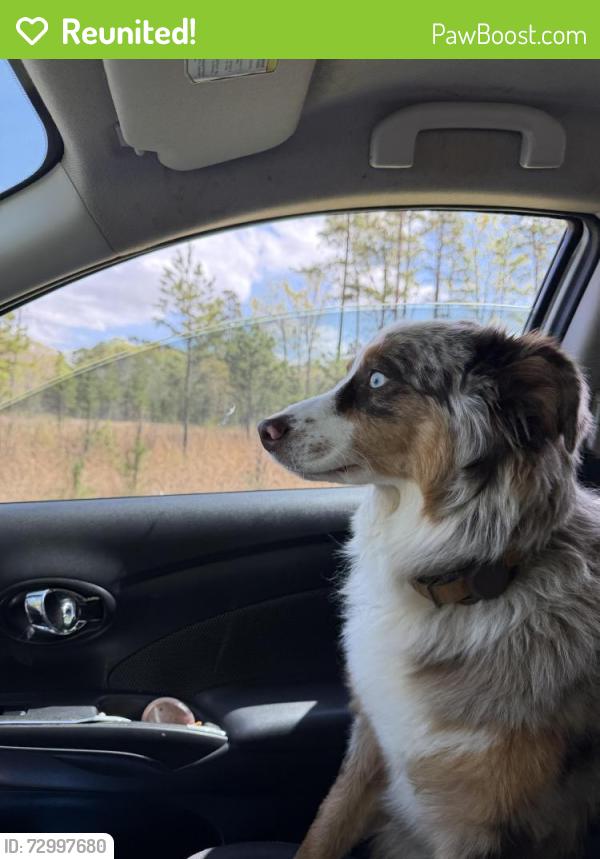 Reunited Male Dog last seen Near Beatties Ford Rd, Huntersville, NC 28078, USA, Huntersville, NC 28078