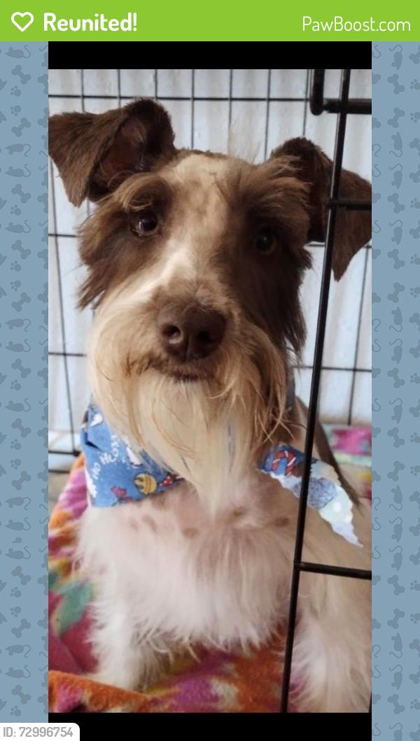 Reunited Female Dog last seen Beech Trail Dr, San Antonio, TX, USA, San Antonio, TX 78244