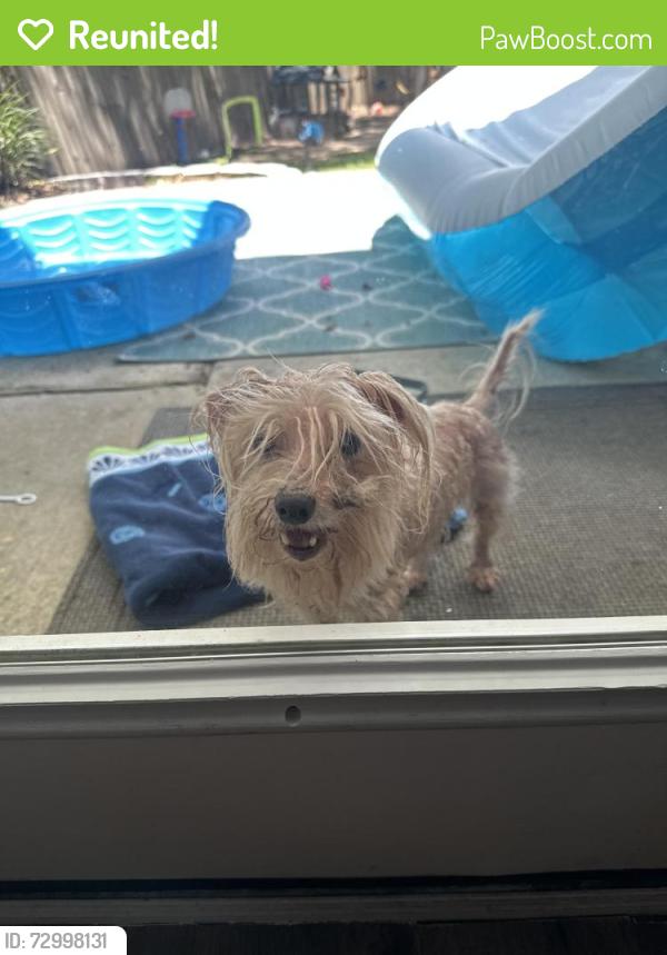 Reunited Male Dog last seen Carriage hills, Mobile, AL 36695