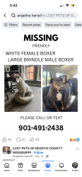Lost Male Dog last seen Malone and Duvall, Olive Branch, MS 38654