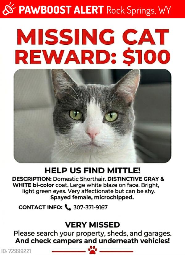 Lost Female Cat last seen Home depot, Rock Springs, WY 82901