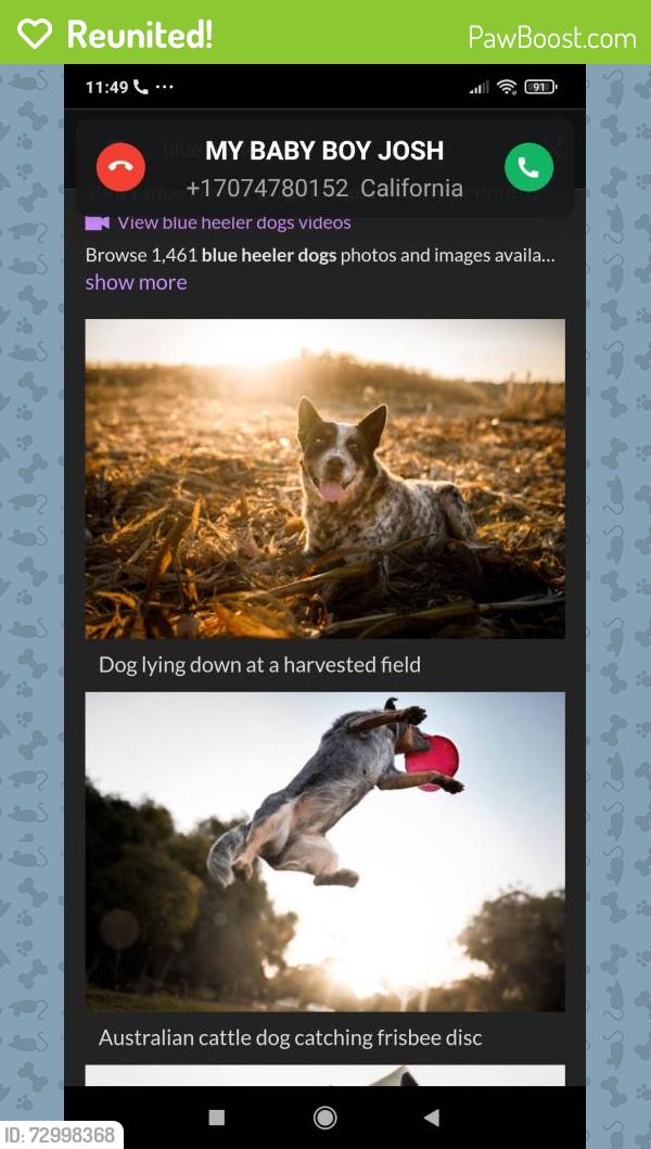 Reunited Male Dog last seen Hunter ln, Santa Rosa, CA 94928