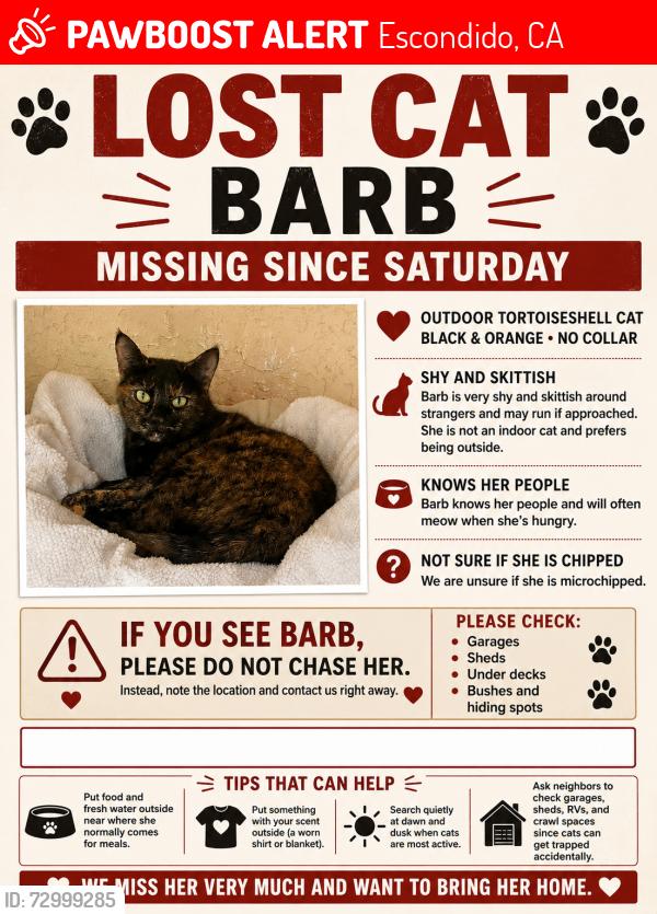 Lost Unknown Cat last seen Bear valley parkway, Escondido, CA 92025