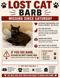 Lost Unknown Cat last seen Bear valley parkway, Escondido, CA 92025