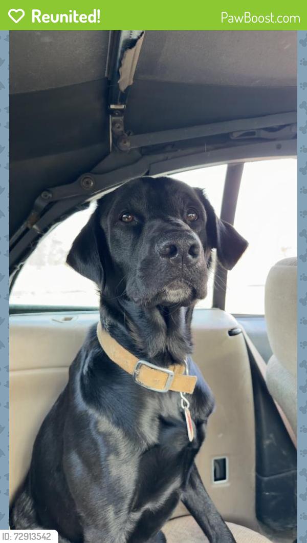 Reunited Male Dog last seen Gauger rd Turbotville , Lewis Township, PA 17777