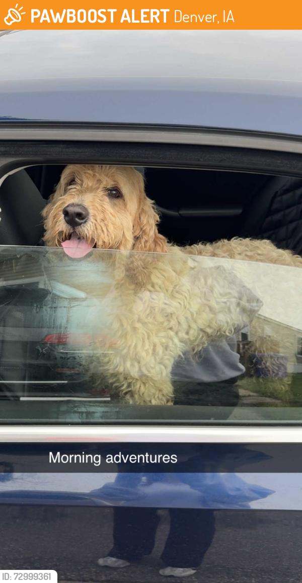 Found/Stray Female Dog last seen Near Dollar General and Kwik Start, Denver, IA 50622
