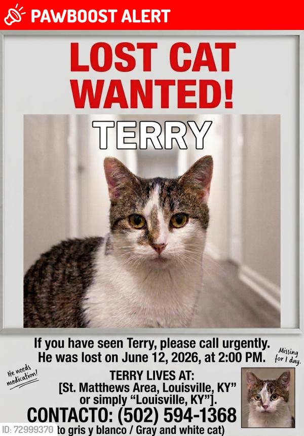 Lost Male Cat last seen Lousville ky, Blue Ridge Manor, KY 40223