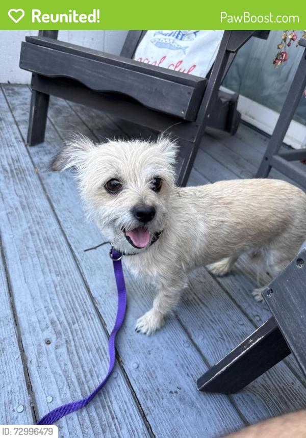 Reunited Female Dog last seen Capitol and snell, San Jose, CA 95111