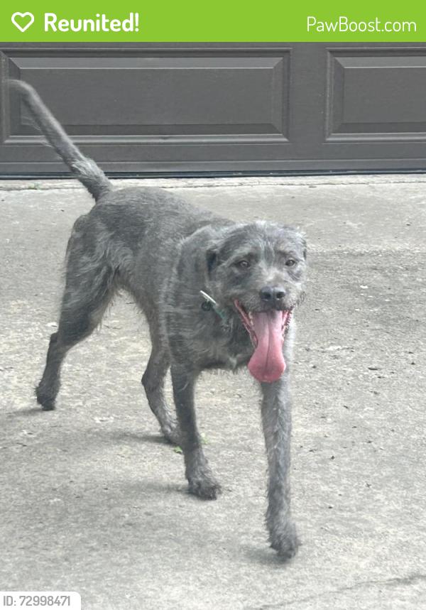 Reunited Male Dog last seen 134th St. S, Broken Arrow, OK 74011