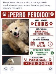 Lost Female Dog last seen Near 54th Street , San Diego, CA 92114