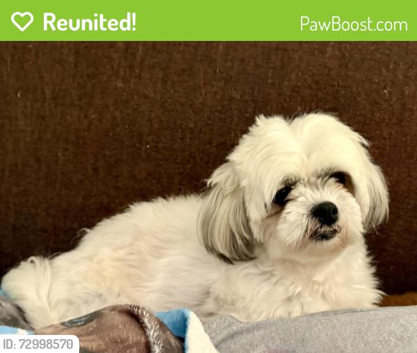 Reunited Female Dog last seen Glen Hilton Park, Hickory, NC 28601