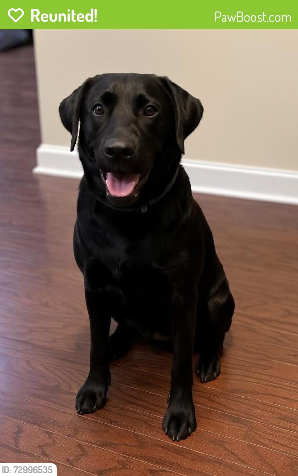 Reunited Male Dog last seen Ethridge mill rd, Griffin, GA 30224