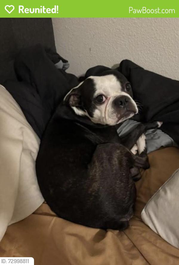 Reunited Male Dog last seen Near monogram , Long Beach, CA 90815
