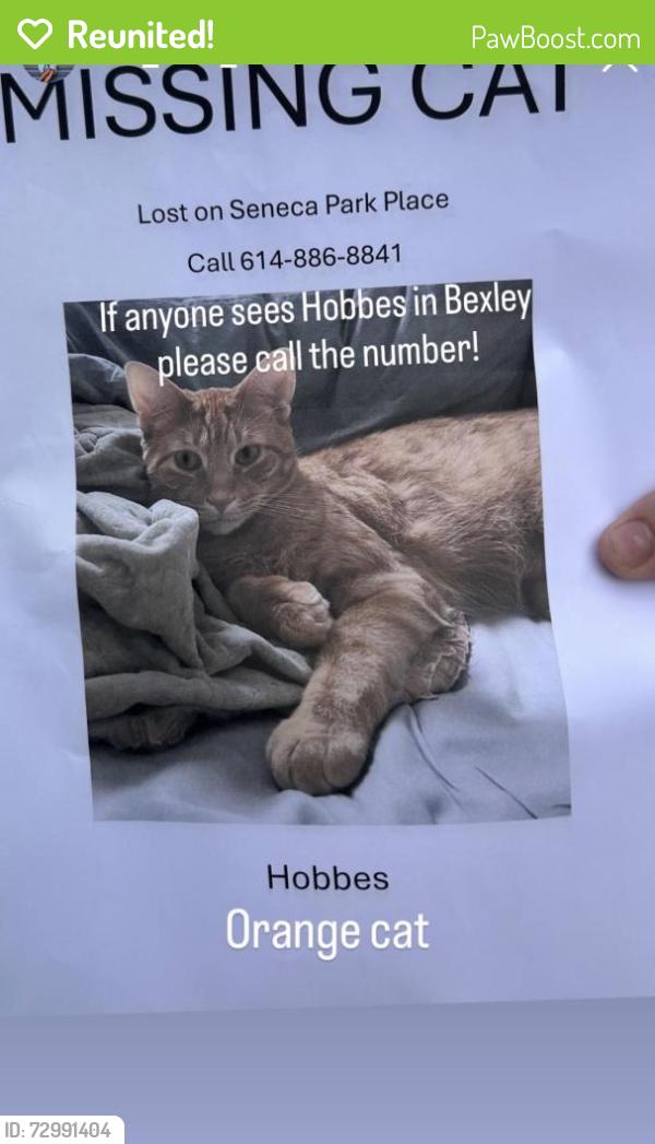 Reunited Male Cat last seen Seneca Park, Hamilton Township, OH 45039
