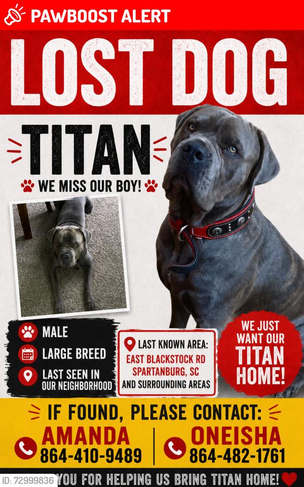 Lost Male Dog last seen Shalann dr, Chelsea st, Spartanburg County, SC 29369