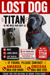 Lost Male Dog last seen Shalann dr, Chelsea st, Spartanburg County, SC 29369